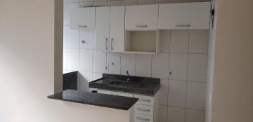 imagem 3 - Apartamentos - Padrão imagem 3 - Apartamentos - Padrão