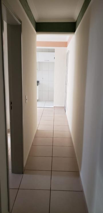 imagem 5 - Apartamentos - Padrão imagem 5 - Apartamentos - Padrão