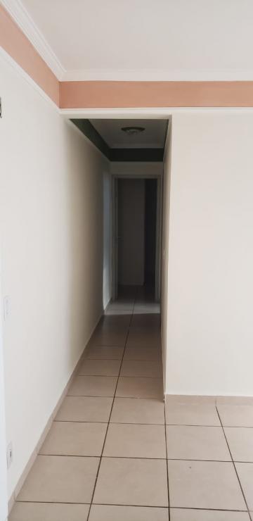 imagem 4 - Apartamentos - Padrão imagem 4 - Apartamentos - Padrão