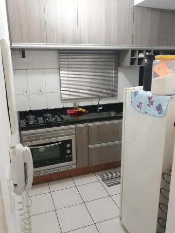 imagem 5 - Apartamentos - Padrão imagem 5 - Apartamentos - Padrão