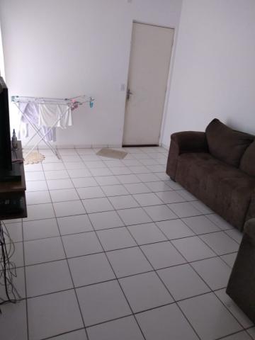 imagem 3 - Apartamentos - Padrão imagem 3 - Apartamentos - Padrão