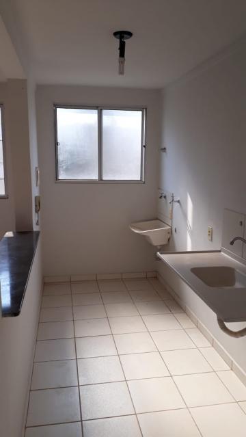 imagem 4 - Apartamentos - Padrão imagem 4 - Apartamentos - Padrão