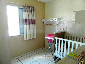 imagem 5 - Apartamentos - Padrão imagem 5 - Apartamentos - Padrão