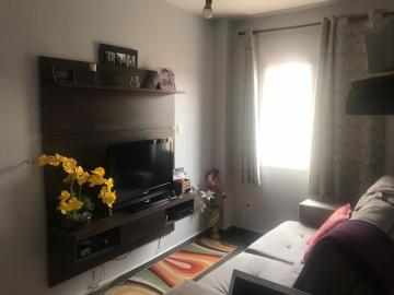 imagem 1 - Apartamentos - Padrão imagem 1 - Apartamentos - Padrão