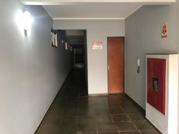 imagem 2 - Apartamentos - Padrão imagem 2 - Apartamentos - Padrão