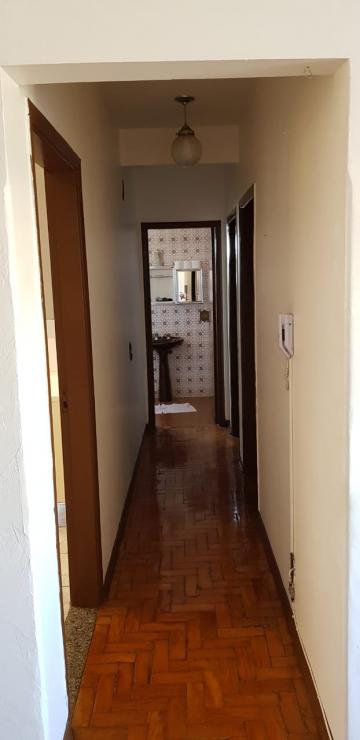 imagem 5 - Apartamentos - Padrão imagem 5 - Apartamentos - Padrão