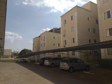 imagem 1 - Apartamentos - Padrão imagem 1 - Apartamentos - Padrão