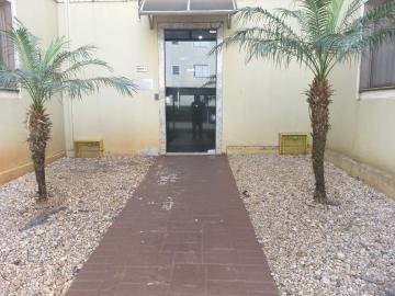 imagem 2 - Apartamentos - Padrão imagem 2 - Apartamentos - Padrão