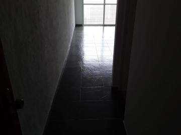 imagem 3 - Apartamentos - Padrão imagem 3 - Apartamentos - Padrão