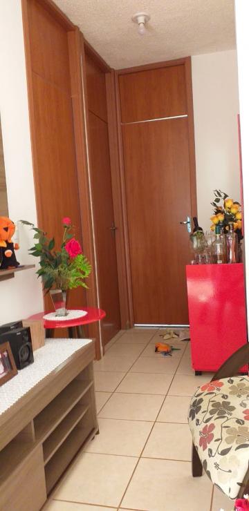 imagem 3 - Apartamentos - Padrão imagem 3 - Apartamentos - Padrão