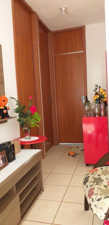 imagem 4 - Apartamentos - Padrão imagem 4 - Apartamentos - Padrão
