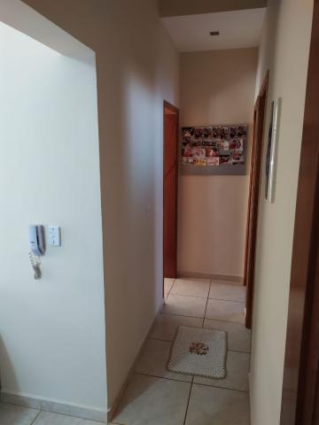 imagem 4 - Apartamentos - Padrão imagem 4 - Apartamentos - Padrão