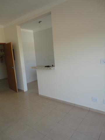 imagem 4 - Apartamentos - Padrão imagem 4 - Apartamentos - Padrão
