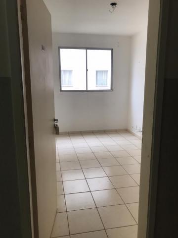 imagem 3 - Apartamentos - Padrão imagem 3 - Apartamentos - Padrão