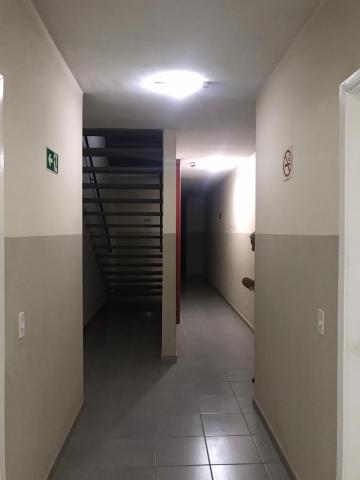 imagem 3 - Apartamentos - Padrão imagem 3 - Apartamentos - Padrão