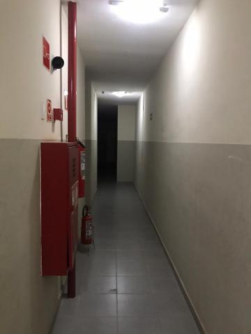 imagem 5 - Apartamentos - Padrão imagem 5 - Apartamentos - Padrão