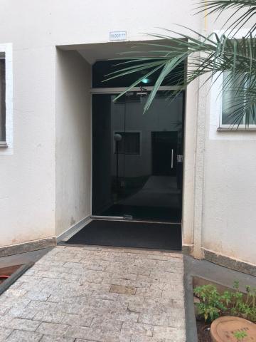 imagem 3 - Apartamentos - Padrão imagem 3 - Apartamentos - Padrão