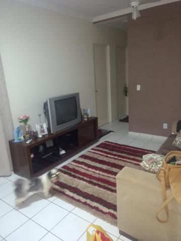imagem 5 - Apartamentos - Padrão imagem 5 - Apartamentos - Padrão