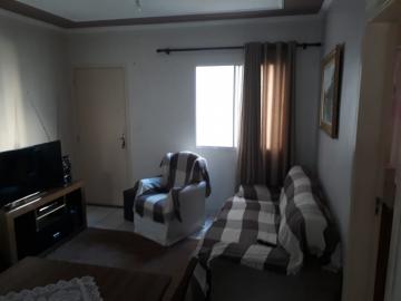 imagem 1 - Apartamentos - Padrão imagem 1 - Apartamentos - Padrão