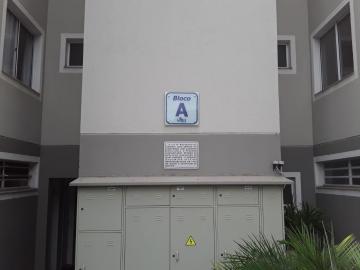 imagem 2 - Apartamentos - Padrão imagem 2 - Apartamentos - Padrão