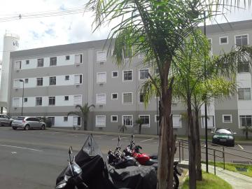 imagem 3 - Apartamentos - Padrão imagem 3 - Apartamentos - Padrão
