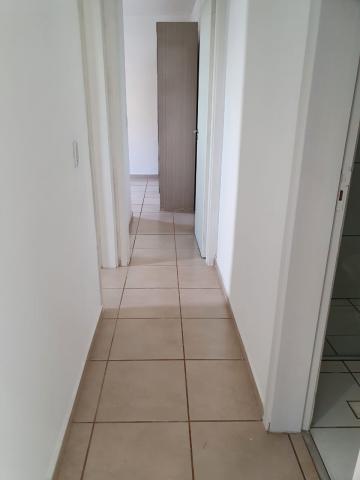 Alugar Apartamentos / Padrão em Ribeirão Preto R$ 850,00 - Foto 3 Alugar Apartamentos / Padrão em Ribeirão Preto R$ 850,00 - Foto 3