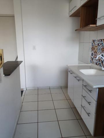 Alugar Apartamentos / Padrão em Ribeirão Preto R$ 850,00 - Foto 4 Alugar Apartamentos / Padrão em Ribeirão Preto R$ 850,00 - Foto 4
