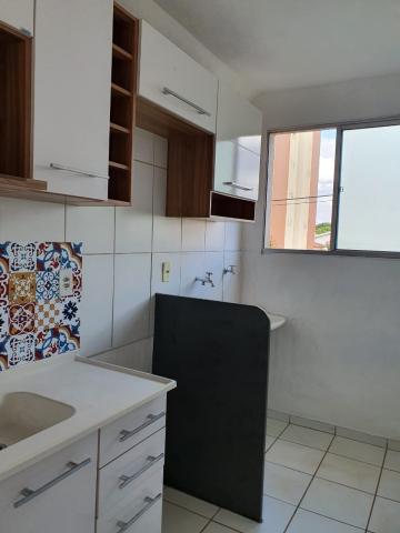 Alugar Apartamentos / Padrão em Ribeirão Preto R$ 850,00 - Foto 5 Alugar Apartamentos / Padrão em Ribeirão Preto R$ 850,00 - Foto 5
