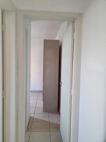 Alugar Apartamentos / Padrão em Ribeirão Preto R$ 850,00 - Foto 7 Alugar Apartamentos / Padrão em Ribeirão Preto R$ 850,00 - Foto 7