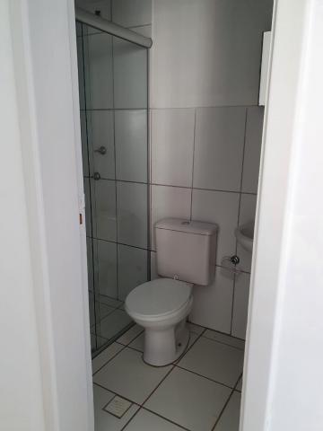 Alugar Apartamentos / Padrão em Ribeirão Preto R$ 850,00 - Foto 13 Alugar Apartamentos / Padrão em Ribeirão Preto R$ 850,00 - Foto 13