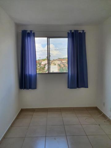 Alugar Apartamentos / Padrão em Ribeirão Preto R$ 850,00 - Foto 15 Alugar Apartamentos / Padrão em Ribeirão Preto R$ 850,00 - Foto 15