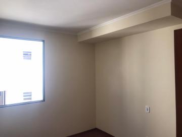 imagem 5 - Apartamentos - Padrão imagem 5 - Apartamentos - Padrão