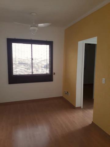 imagem 3 - Apartamentos - Padrão imagem 3 - Apartamentos - Padrão