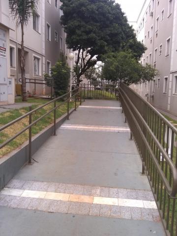 imagem 3 - Apartamentos - Padrão imagem 3 - Apartamentos - Padrão