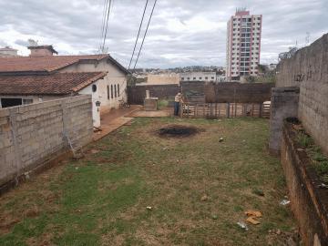 imagem 4 - Chácaras/Imóveis Rurais - RanchoSítio imagem 4 - Chácaras/Imóveis Rurais - RanchoSítio