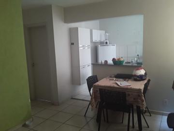 Alugar Apartamentos / Padrão em Ribeirão Preto. apenas R$ 850,00