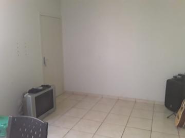 imagem 3 - Apartamentos - Padrão imagem 3 - Apartamentos - Padrão