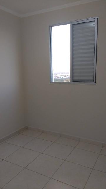 imagem 5 - Apartamentos - Padrão imagem 5 - Apartamentos - Padrão