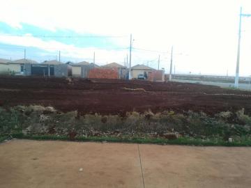 imagem 1 - Terrenos - LoteTerreno imagem 1 - Terrenos - LoteTerreno