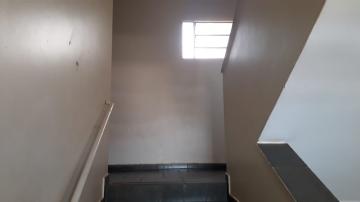 imagem 5 - Apartamentos - Padrão imagem 5 - Apartamentos - Padrão