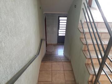 imagem 3 - Apartamentos - Padrão imagem 3 - Apartamentos - Padrão