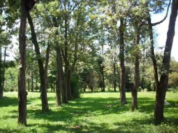 imagem 2 - Chácaras/Imóveis Rurais - RanchoSítio imagem 2 - Chácaras/Imóveis Rurais - RanchoSítio