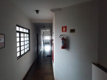 imagem 4 - Apartamentos - Padrão imagem 4 - Apartamentos - Padrão