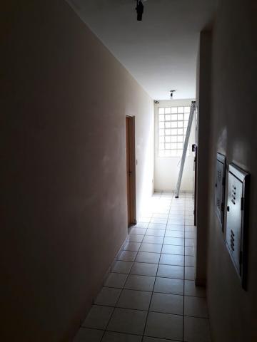 imagem 4 - Apartamentos - Padrão imagem 4 - Apartamentos - Padrão
