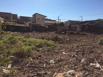 imagem 2 - Terreno Comercial para Locação no Bairro Vila Tibério, em Ribeirão Preto SP. imagem 2 - Terreno Comercial para Locação no Bairro Vila Tibério, em Ribeirão Preto SP.