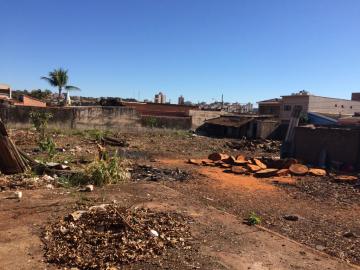 imagem 4 - Terreno Comercial para Locação no Bairro Vila Tibério, em Ribeirão Preto SP. imagem 4 - Terreno Comercial para Locação no Bairro Vila Tibério, em Ribeirão Preto SP.