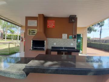 imagem 5 - Apartamentos - Padrão imagem 5 - Apartamentos - Padrão