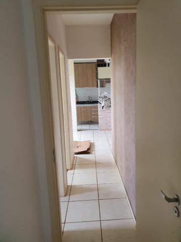 imagem 3 - Apartamentos - Padrão imagem 3 - Apartamentos - Padrão