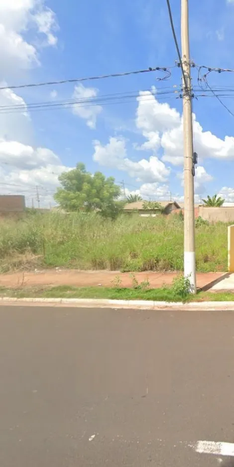 imagem 5 - Terreno para Locação ou Venda no Bairro Jardim Cristo Redentor, em Ribeirão Preto. imagem 5 - Terreno para Locação ou Venda no Bairro Jardim Cristo Redentor, em Ribeirão Preto.