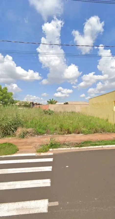 imagem 4 - Terreno para Locação ou Venda no Bairro Jardim Cristo Redentor, em Ribeirão Preto. imagem 4 - Terreno para Locação ou Venda no Bairro Jardim Cristo Redentor, em Ribeirão Preto.